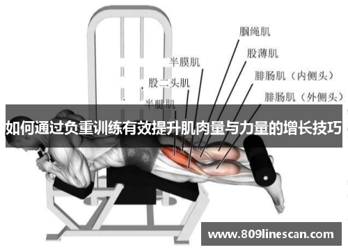 如何通过负重训练有效提升肌肉量与力量的增长技巧