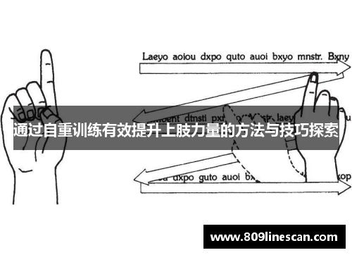 通过自重训练有效提升上肢力量的方法与技巧探索